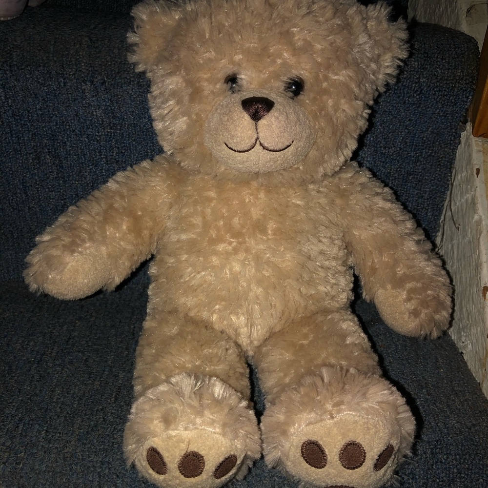 Build A Bear Brown Paw Bear
